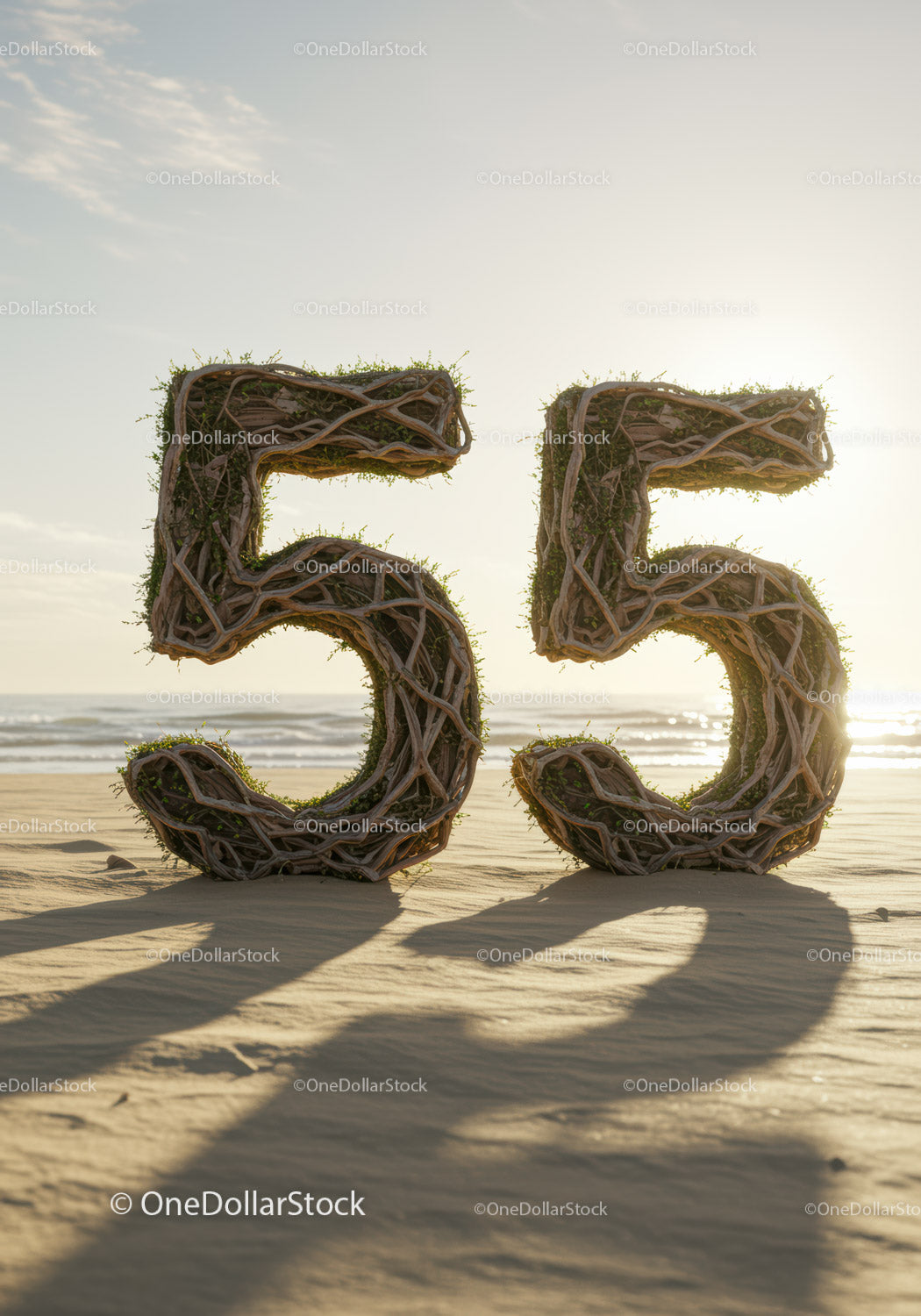 Natural Wooden Number 55 Sculptures on Sandy Beach