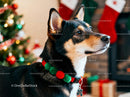 Alert dog wearing festive collar near Christmas tree