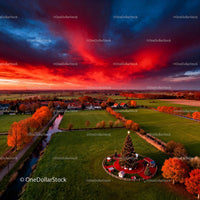 Festive Christmas tree in green field at dramatic sunset