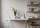 Modern minimalist home office with white desk and green snake plant