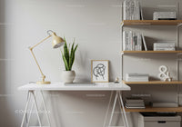 Modern minimalist home office with white desk and green snake plant