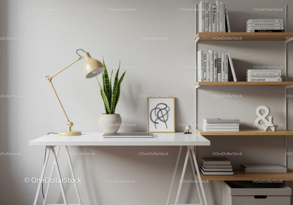 Modern minimalist home office with white desk and green snake plant