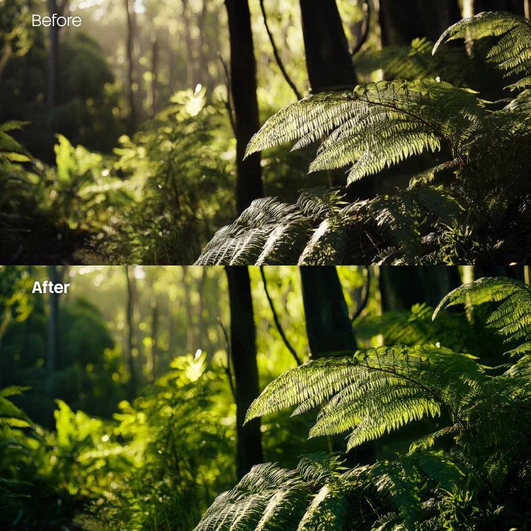 Forest Glow Soft XMP presets color grading preview