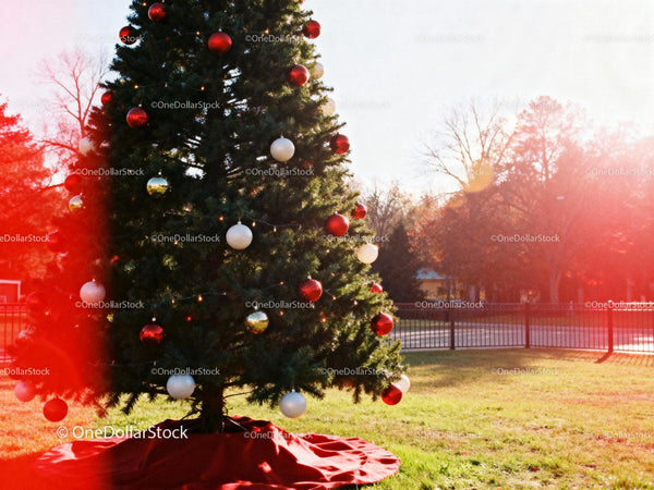 Outdoor Christmas tree decorated with colorful ornaments