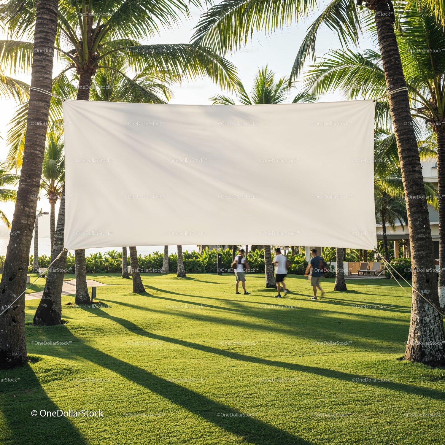 Blank Outdoor Movie Screen Between Palm Trees in Tropical Park