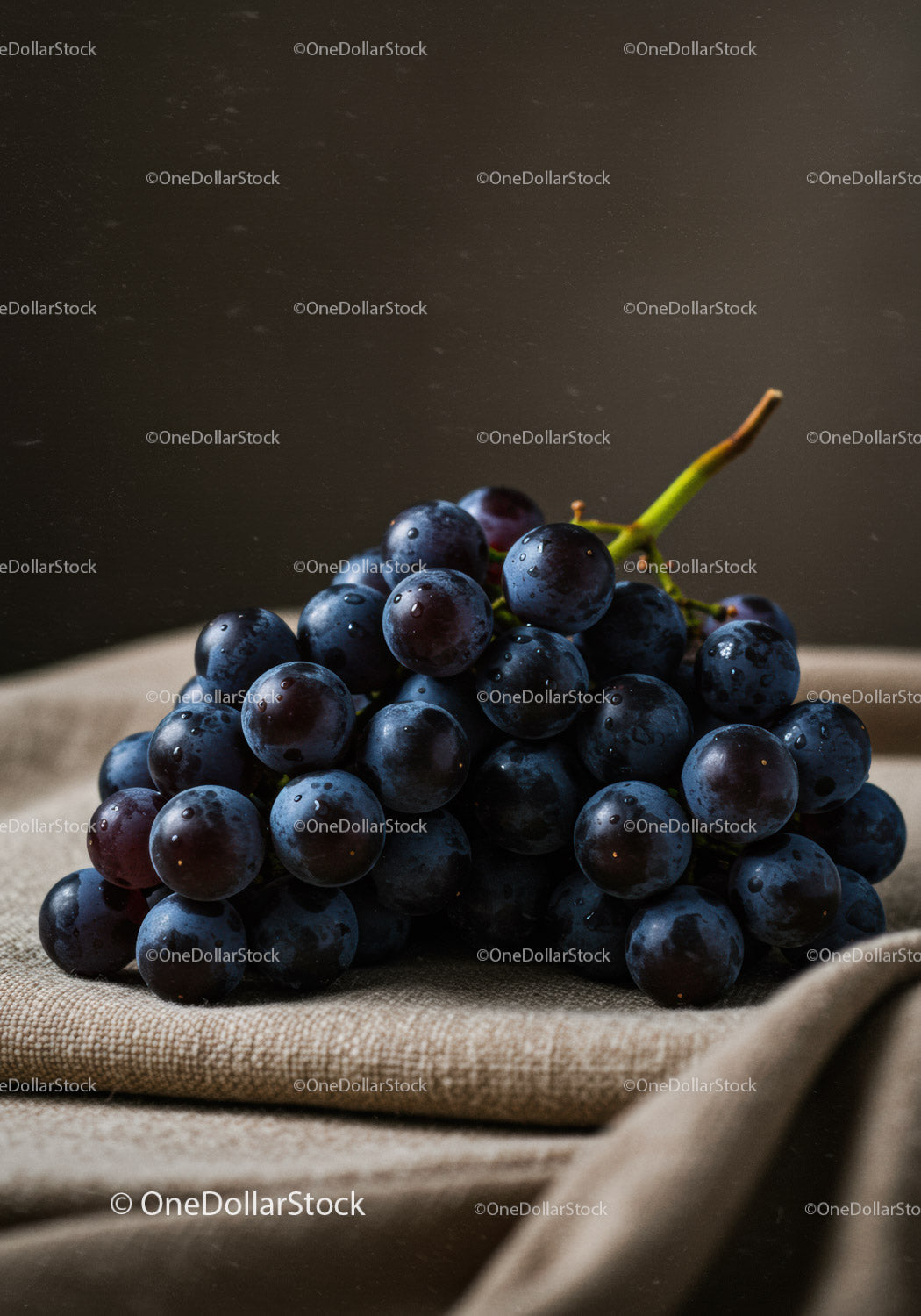 Fresh dark grapes with morning dew on rustic fabric