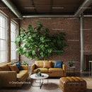 Stylish Urban Living Room with Large Indoor Green Plant and Leather Sofas