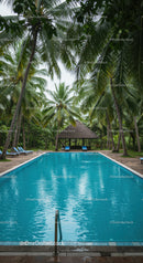 Tropical Resort Pool Surrounded By Lush Green Palm Trees And Canopy