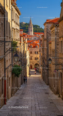 Charming Historic European Street with Red Roofs and Hillside View