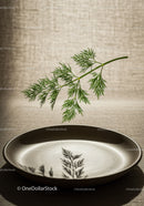 Fresh dill casting delicate shadows on ceramic plate