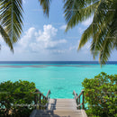 Beautiful Tropical Beach Scene with Palm Trees and Clear Blue Water