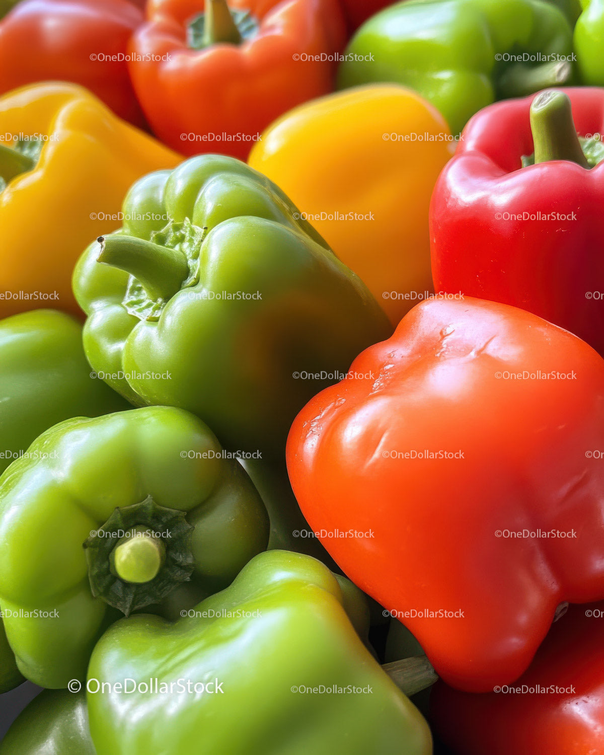 Colorful Bell Peppers of Green Red and Yellow in Close-up