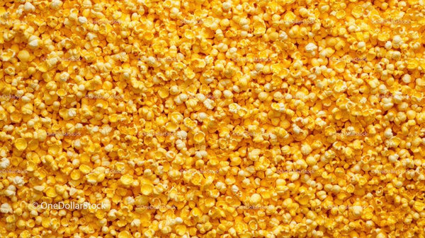 Zbliżenie na Pyszny Żółty Popcorn na Przekąskę lub Wieczór Filmowy