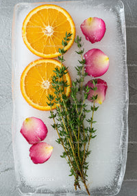 Orange Slices and Herbs Frozen in Ice with Rose Petals