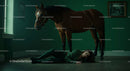 Woman Lying on Floor Beside a Horse in Dramatic Green Room