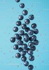 Fresh Blueberries Dropping in Clear Water Splash