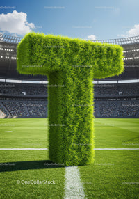 Green Grass Letter T on Stadium Soccer Field