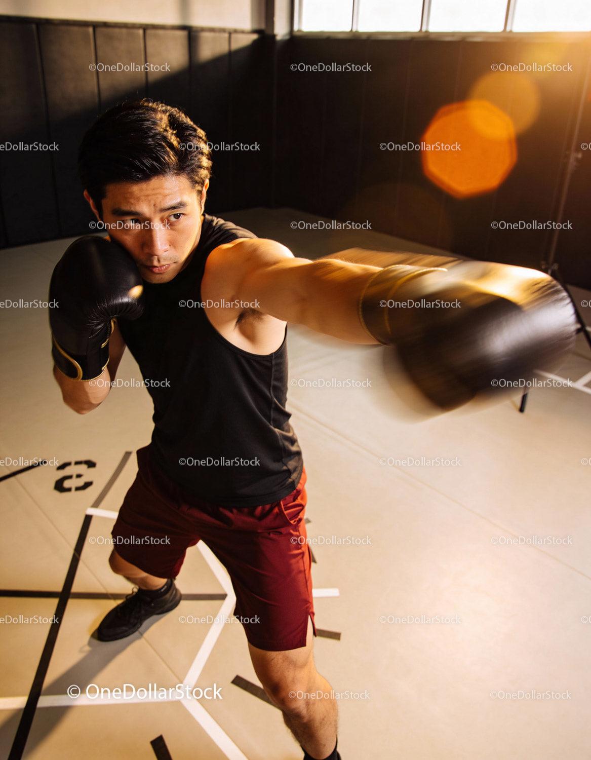 Focused young boxer training punch in bright gym