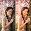 Blossom XMP presets color grading preview