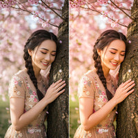 Blossom XMP presets color grading preview