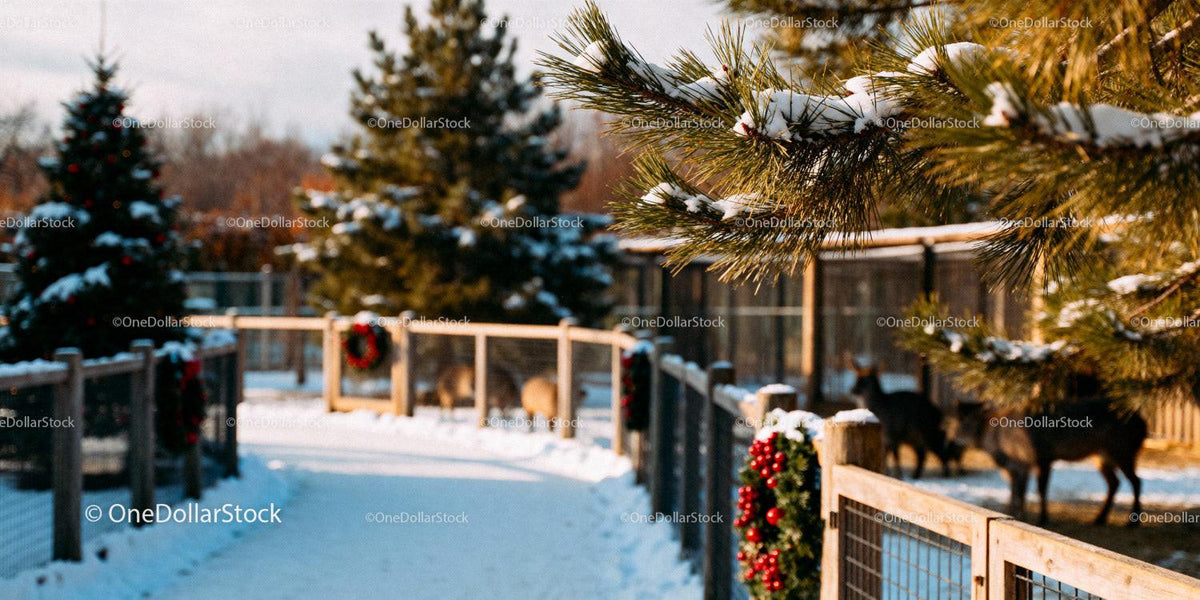 Snowy Winter Pathway with Festive Decorations and Deer