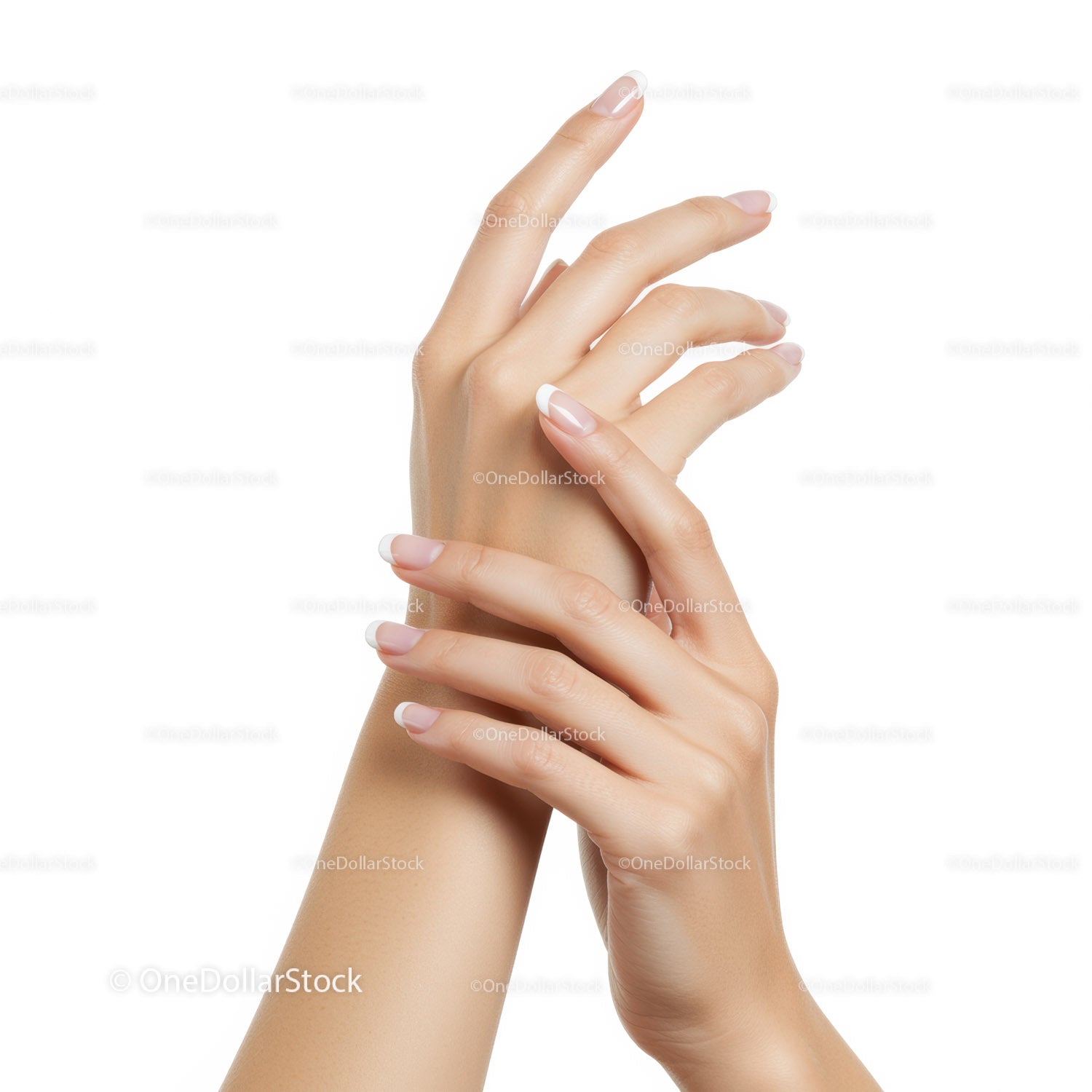 Zbliżenie delikatnych dłoni kobiety z francuskim manicure'em