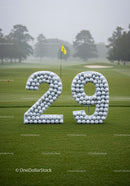 Number 29 Display Made of Golf Balls on Green Course