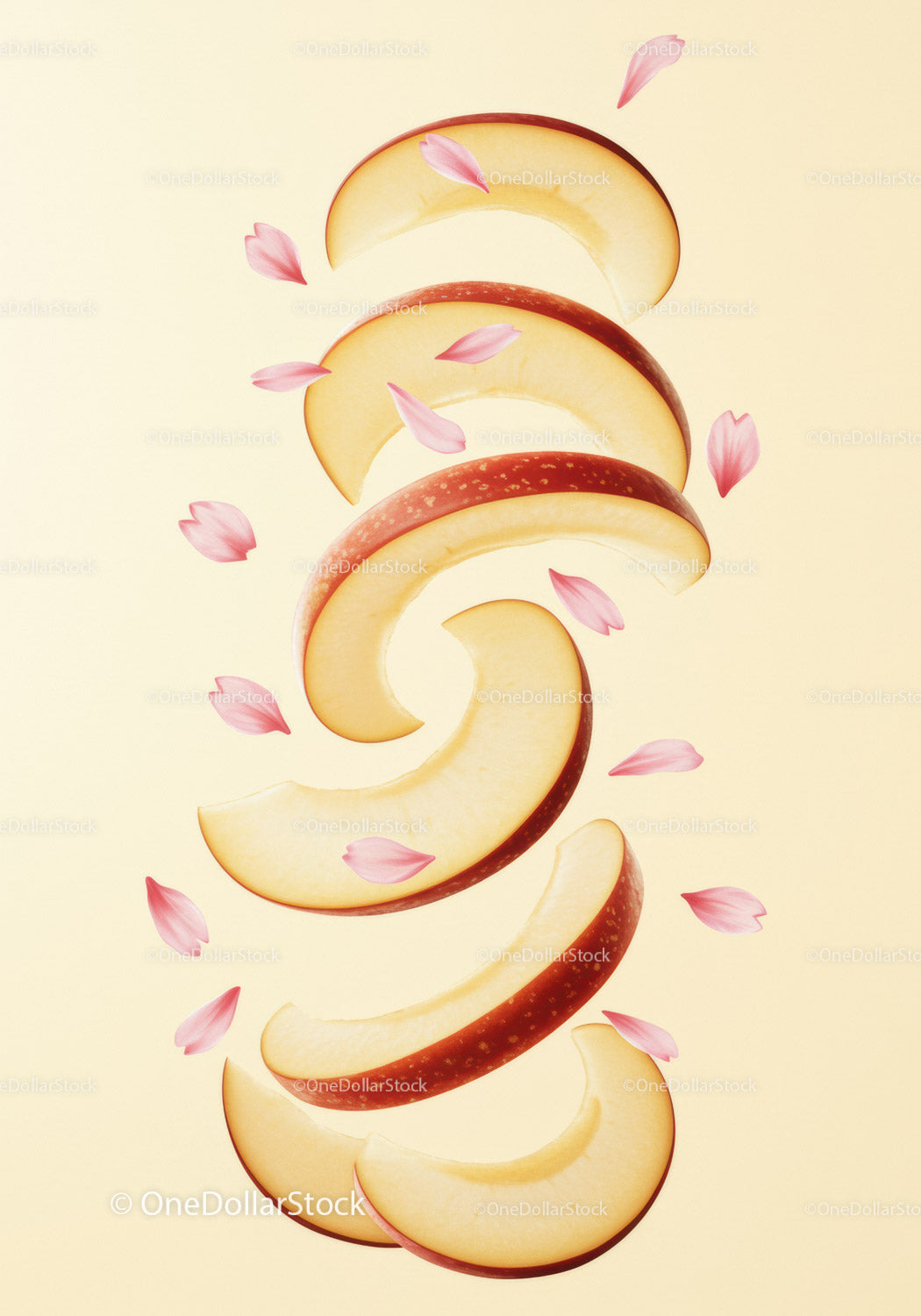 Floating red apple slices surrounded by pink petals