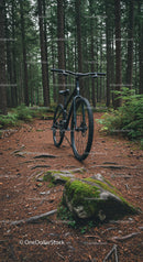Mountain bike resting on forest trail with mossy rock