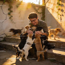 Young man joyfully playing with playful puppies outdoors