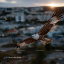 Majestic Eagle in Full Flight over City at Sunset