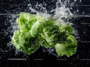 Fresh Green Lettuce Heads Splashing in Water