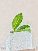 Fresh Mint Leaves Embedded in Clear Ice Cube