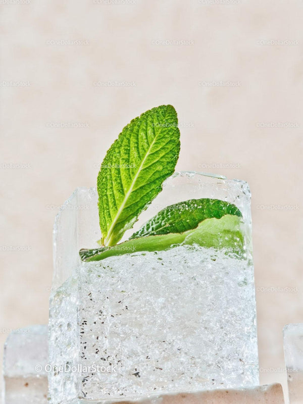 Fresh Mint Leaves Embedded in Clear Ice Cube