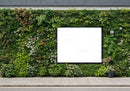 Urban Green Wall with Blank Advertising Space Outdoors