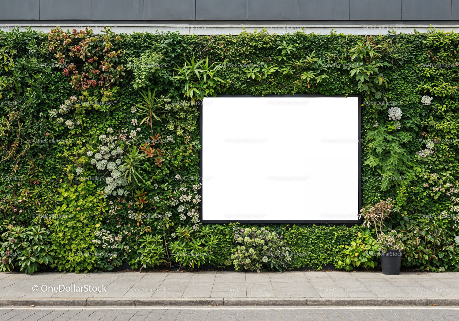 Urban Green Wall with Blank Advertising Space Outdoors