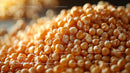 Close-up of Fresh Yellow Corn Kernels with Vibrant Texture