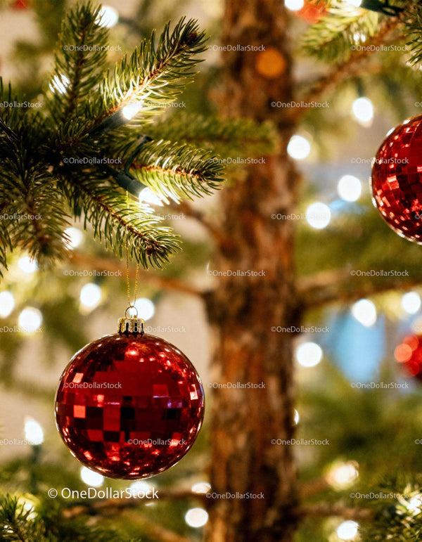 Red Christmas Ornament Hanging on Pine Tree Branch