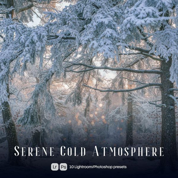 Serene Cold Atmosphere Presets (10 XMP files)