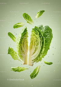 Fresh romaine lettuce halves with scattered leaves