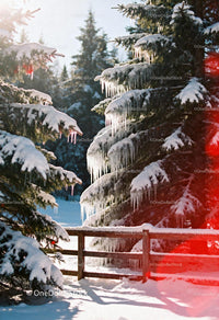 Snowy Fir Trees with Icicles in Sunlit Winter Forest