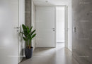Minimalist Modern Interior with Green Plant and White Doors
