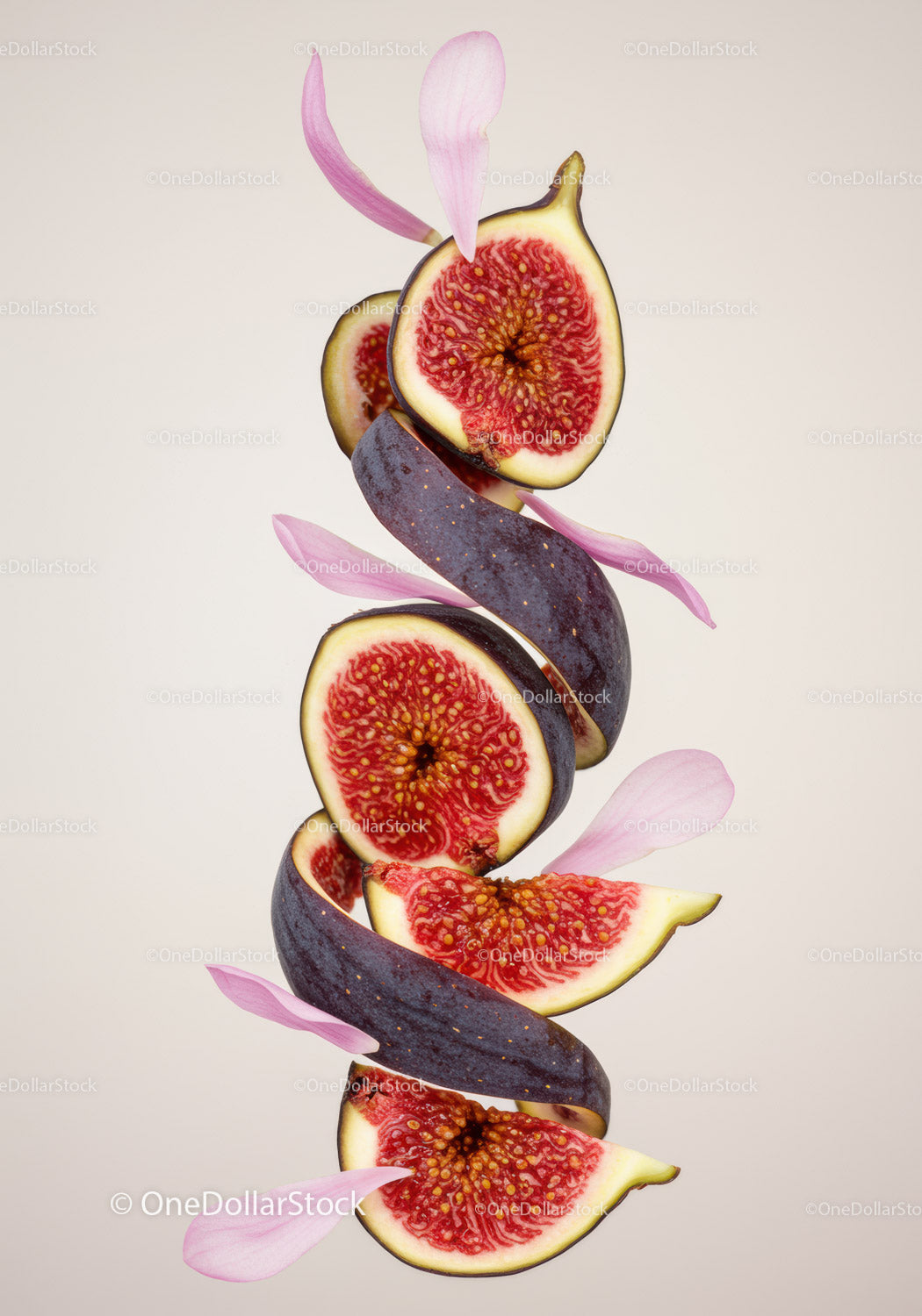 Sliced fig spiraling with delicate pink petals