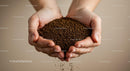 Close-up of Hands Holding Coffee Granules Falling