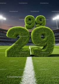 Grass Numbers Representing Soccer Score on Field