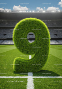Green Grass Number Nine on Football Field