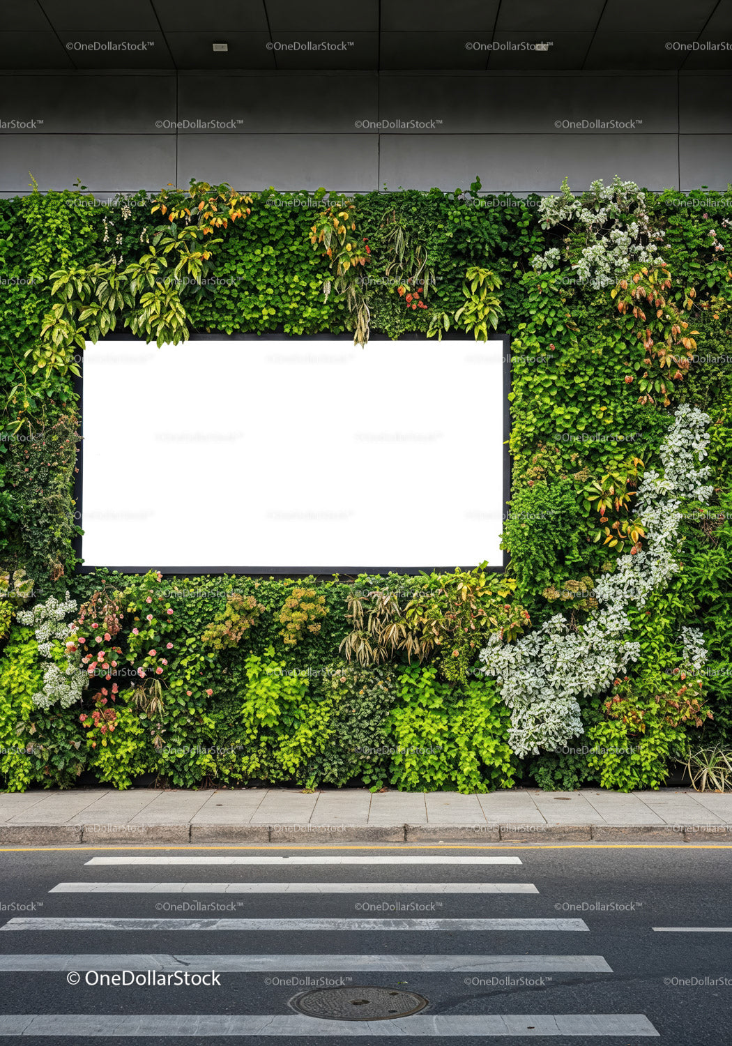 Urban vertical garden with blank billboard on street