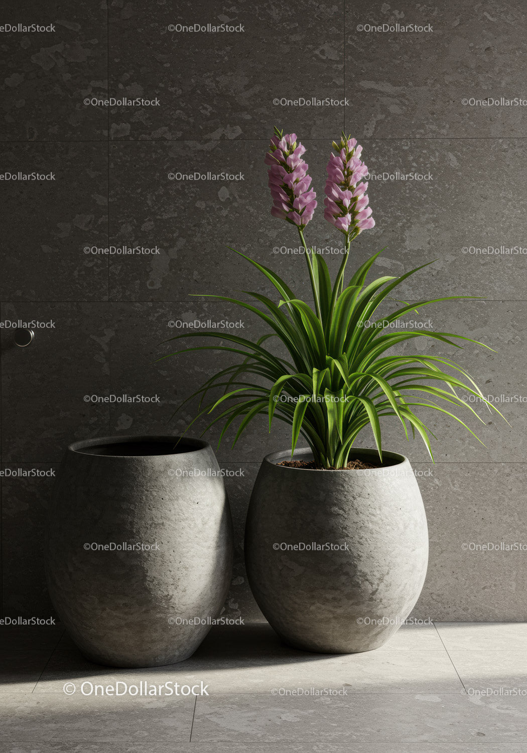 Różowa orchidea i zielone liście w nowoczesnych, minimalistycznych doniczkach