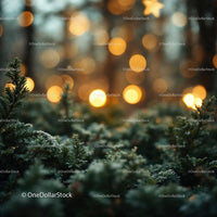 Frosted evergreen branches with warm glowing bokeh lights