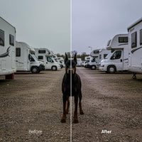 Cinema 20 LUTs digital asset preview